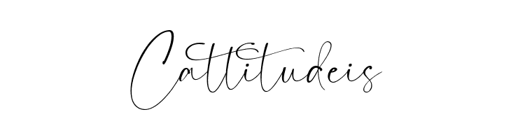 Camigata  Free Fonts Download