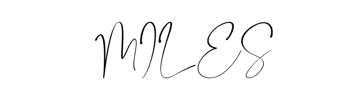 Camigata  Free Fonts Download