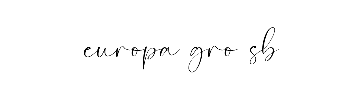 Camigata  Free Fonts Download