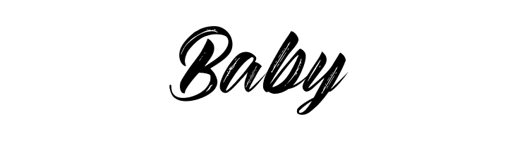 BraydonScript  Free Fonts Download