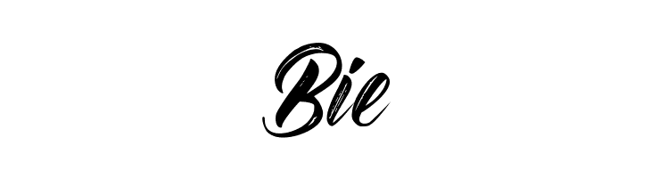 BraydonScript  Free Fonts Download