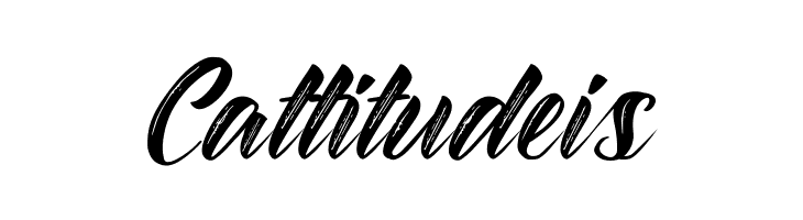 BraydonScript  Free Fonts Download