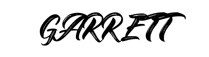 BraydonScript  Free Fonts Download
