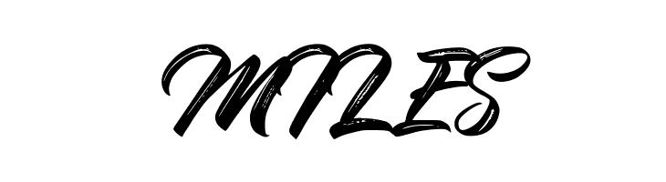 BraydonScript  Free Fonts Download