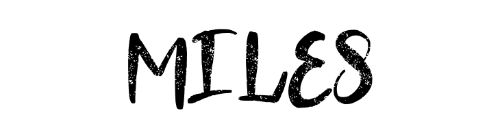 Blondy  Free Fonts Download