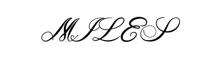 Romantic Season  Free Fonts Download