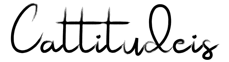 Saturdaynight  Free Fonts Download