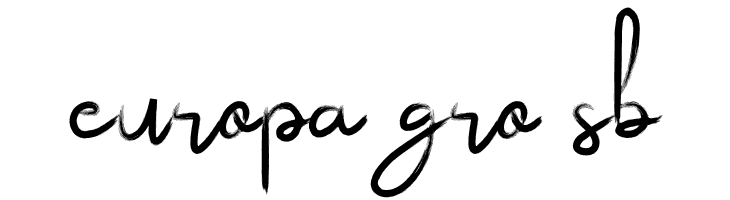 Saturdaynight  Free Fonts Download
