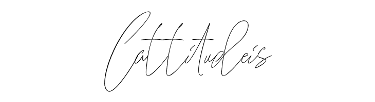 Guitarist Free  Free Fonts Download