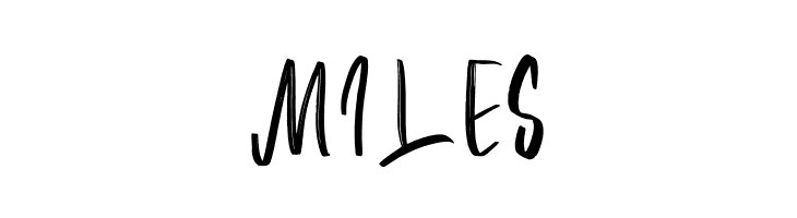 Anida  Free Fonts Download