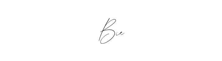 GermanyScript  Free Fonts Download