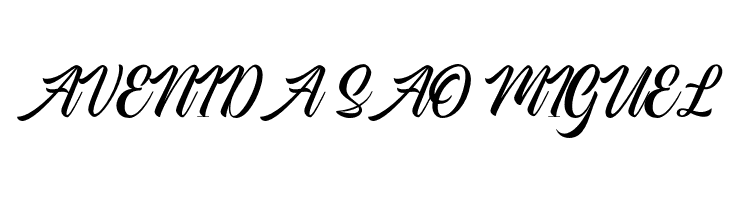 AmericanSignerPersonalUse-Reg  Free Fonts Download