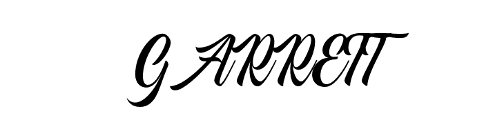 AmericanSignerPersonalUse-Reg  Free Fonts Download