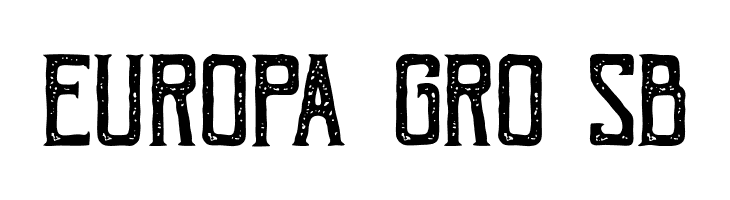 Bohem Vintage  Free Fonts Download