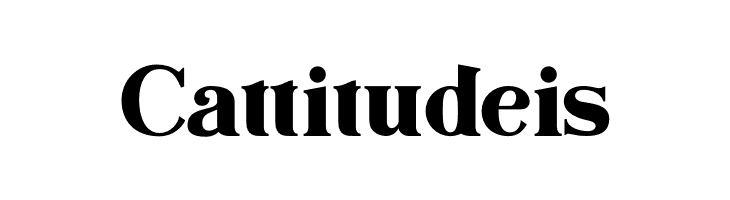 Bogota Bold Personal Use  Free Fonts Download