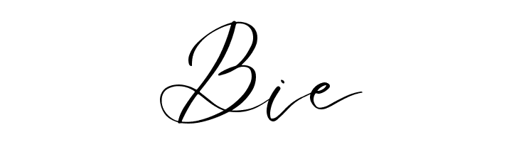 Le Jour Script  Free Fonts Download