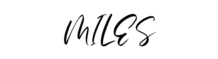 BlasterTimersPersonalUse  Free Fonts Download