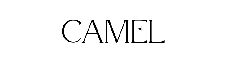 Atteron Personal Use  Free Fonts Download