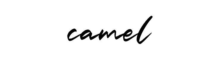 Slash Signature Personal Use  Free Fonts Download