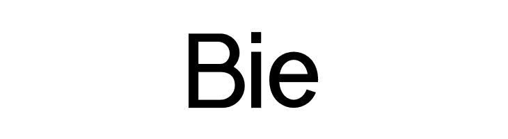 Kanetin Personal Use  Free Fonts Download