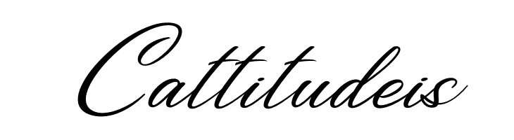 Bigtime Personal Use  Free Fonts Download