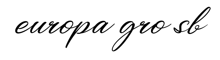 Bigtime Personal Use  Free Fonts Download