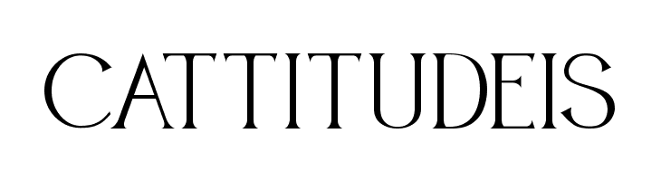BROWN SUNFLOWER SERIF  Free Fonts Download