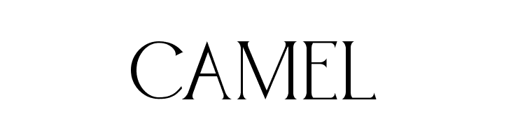 BROWN SUNFLOWER SERIF  Free Fonts Download