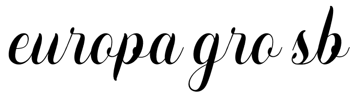 Anzilam  Free Fonts Download