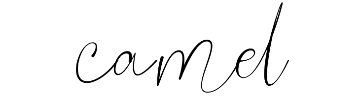 Fiosthic Personal Use  Free Fonts Download