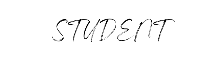 Feeling Steady Personal use fon  Free Fonts Download