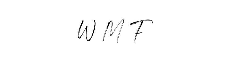 Feeling Steady Personal use fon  Free Fonts Download