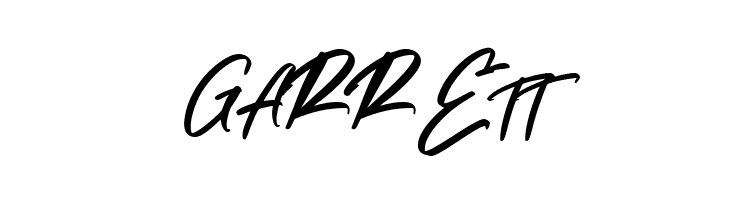 Aliva Brush Script Regular  Free Fonts Download