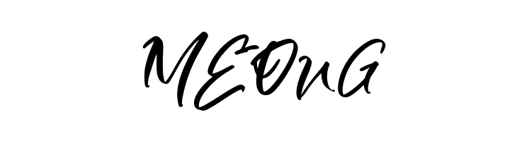 Aliva Brush Script Regular  Free Fonts Download