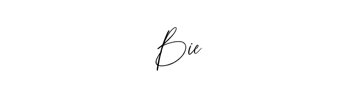 Wernardio Personal Use  Free Fonts Download