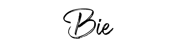 Shillentta Personal Use Only  Free Fonts Download