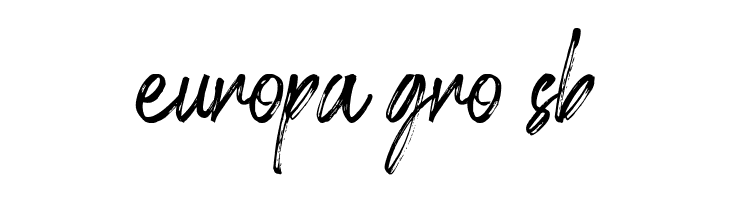 Shillentta Personal Use Only  Free Fonts Download