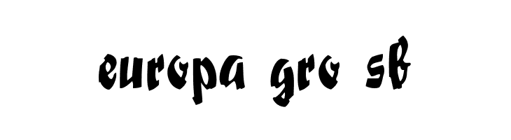 Swashett Normal  Free Fonts Download