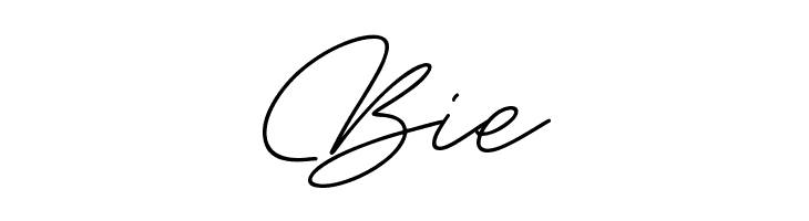 Bambang Signature vol 2.0  Free Fonts Download