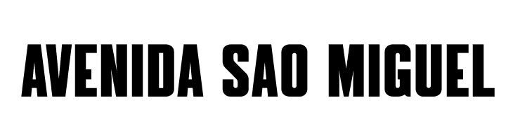 Noticia Bold  Free Fonts Download