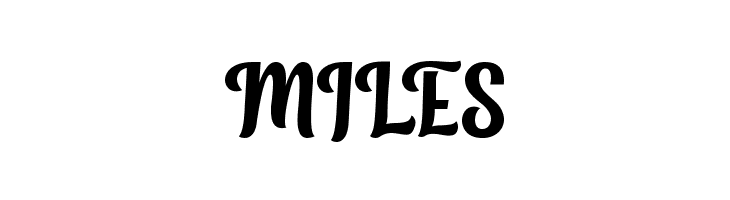 Homeville  Free Fonts Download