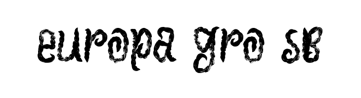 Witchness  Free Fonts Download