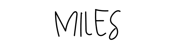 Boho Flowers  Free Fonts Download