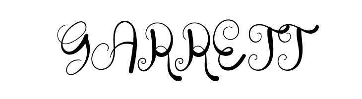 The Script  Free Fonts Download