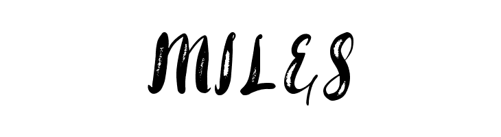 Rohman Demo Grunge  Free Fonts Download