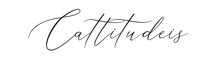 Aerotis  Free Fonts Download