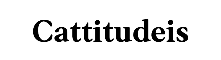 AnkoPersonalUse-Bold  Free Fonts Download