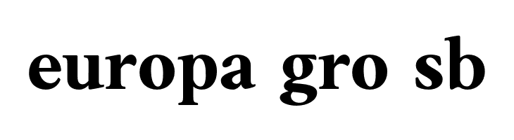 AnkoPersonalUse-Bold  Free Fonts Download