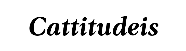 AnkoPersonalUse-BoldItalic  Free Fonts Download