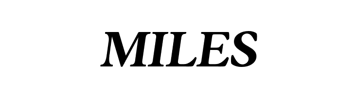 AnkoPersonalUse-BoldItalic  Free Fonts Download